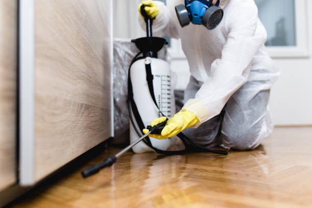 Best Local Pest Control Services  in Sewell, NJ