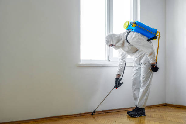 Wildlife Control Services in Sewell, NJ