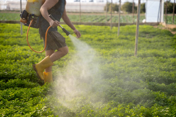 Reliable Sewell, NJ Pest Control Solutions