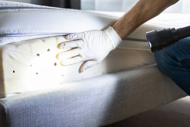 Best Bed Bug Extermination  in Sewell, NJ