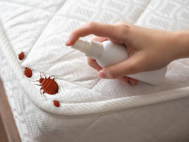 Professional Pest Control in Sewell, NJ