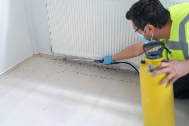 Best Flea Control Services  in Sewell, NJ